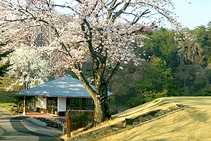 コース風景