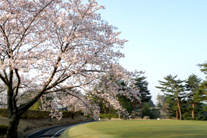 コース風景