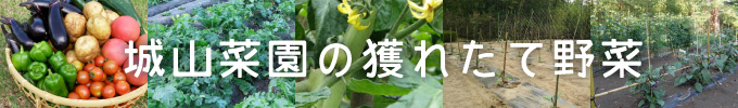 城山菜園